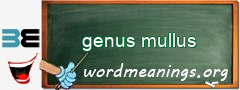 WordMeaning blackboard for genus mullus